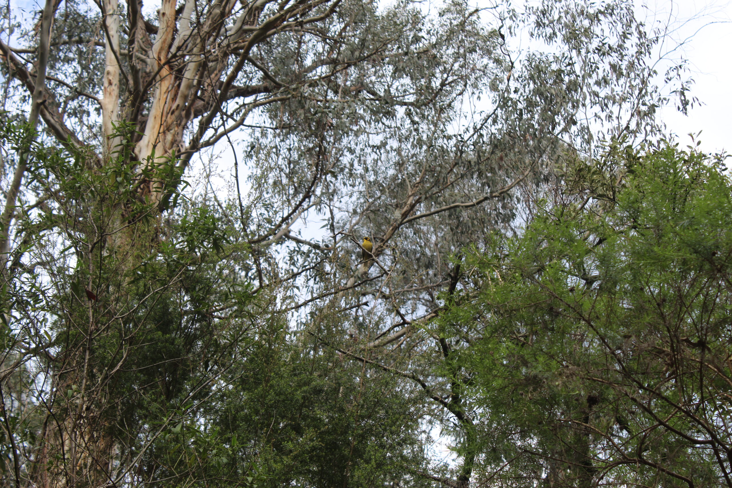 The October Newsletter release date