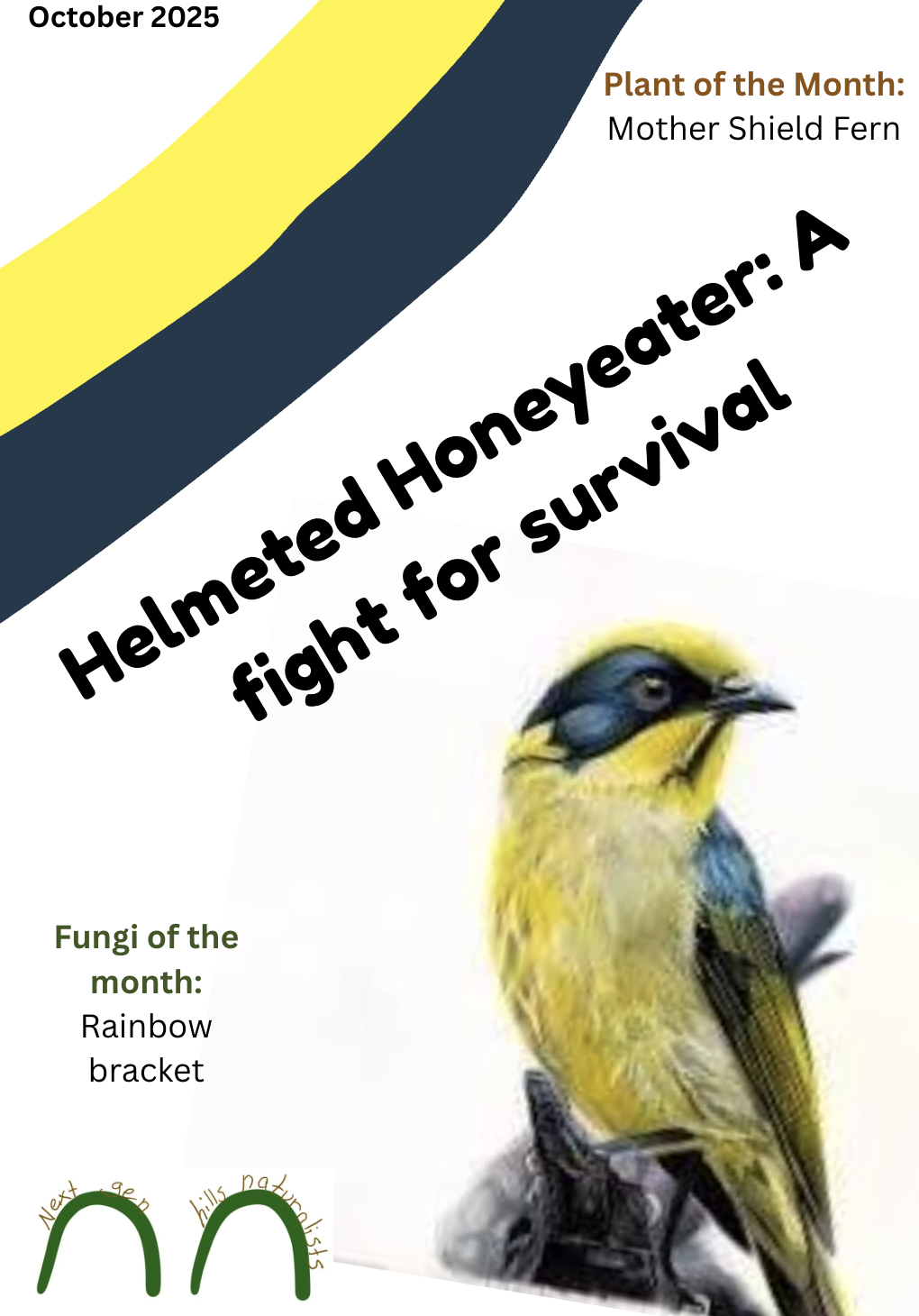Edition 1, Helmeted Honeyeaters.