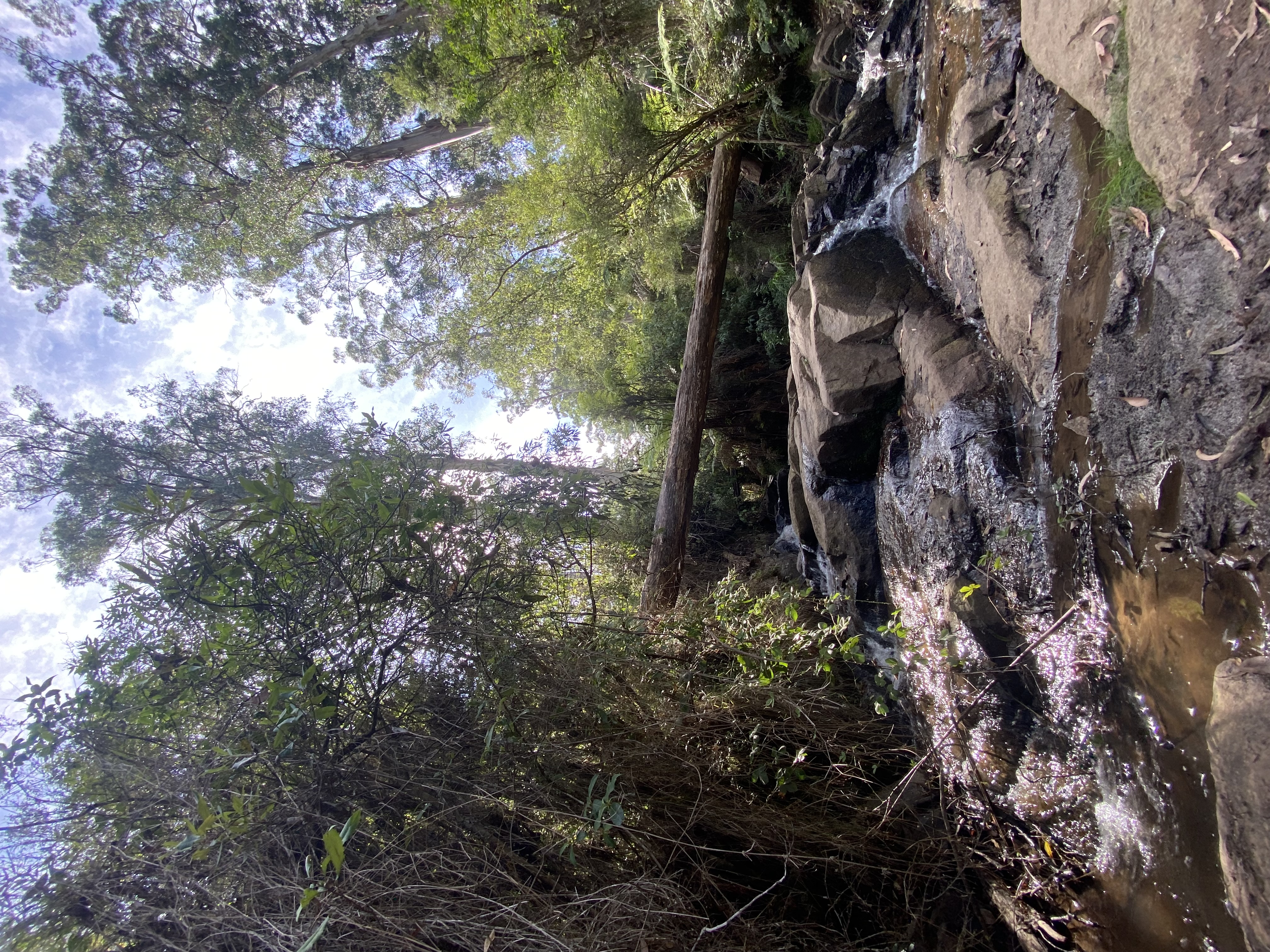 A Trip Down to Olinda Falls