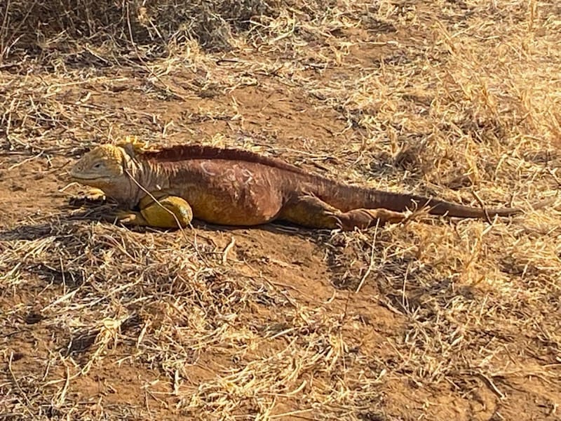 Eve’s Gardening Tips!