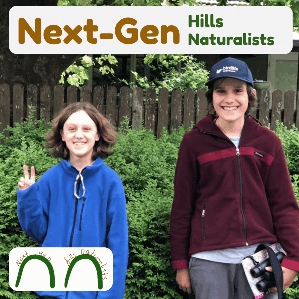 Ep 3, Birding Adventures with Luca