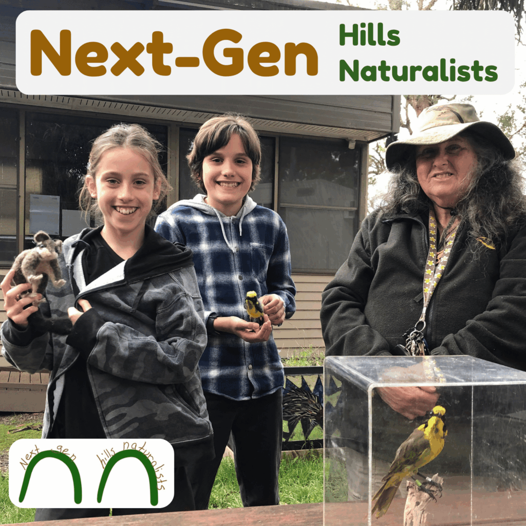 Ep 1, Helmeted Honeyeaters with Sue.