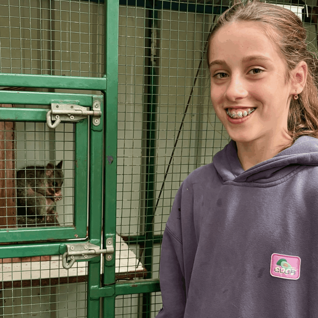 Boobook Wildlife Shelter With Nalini